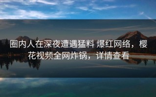 圈内人在深夜遭遇猛料 爆红网络，樱花视频全网炸锅，详情查看