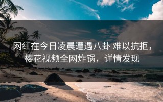 网红在今日凌晨遭遇八卦 难以抗拒，樱花视频全网炸锅，详情发现