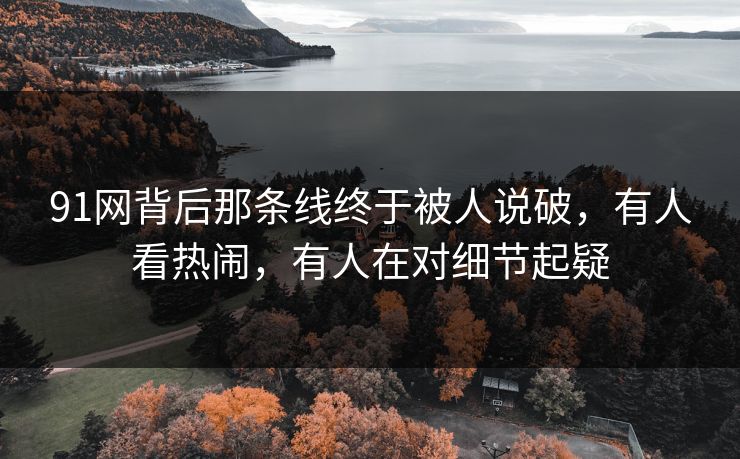 91网背后那条线终于被人说破，有人看热闹，有人在对细节起疑-第1张图片-杏吧精彩直播社交平台