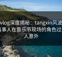 糖心vlog深度揭秘：tangxin风波背后，当事人在音乐节现场的角色过分令人意外