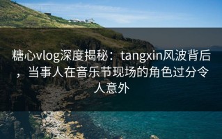 糖心vlog深度揭秘：tangxin风波背后，当事人在音乐节现场的角色过分令人意外