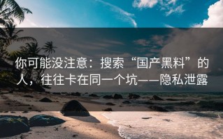 你可能没注意：搜索“国产黑料”的人，往往卡在同一个坑——隐私泄露