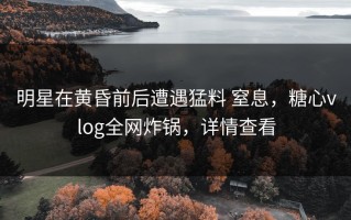 明星在黄昏前后遭遇猛料 窒息，糖心vlog全网炸锅，详情查看