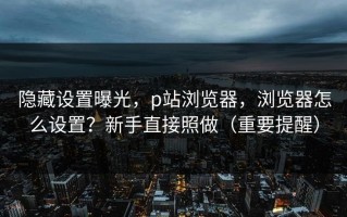 隐藏设置曝光，p站浏览器，浏览器怎么设置？新手直接照做（重要提醒）